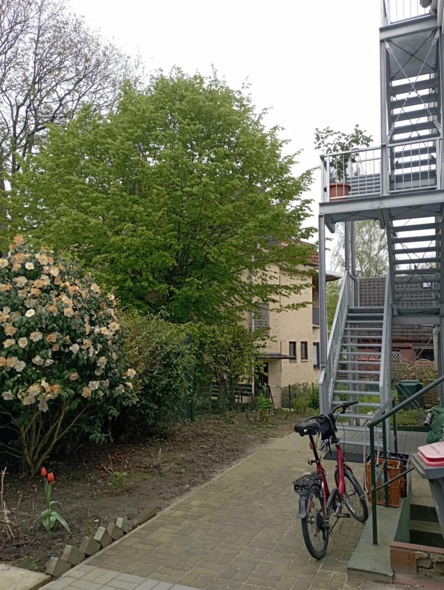 Peaceful Apartment, 3 Zi Loggia & Garden In Blankenese Elbvororten Hamburg-Harburg