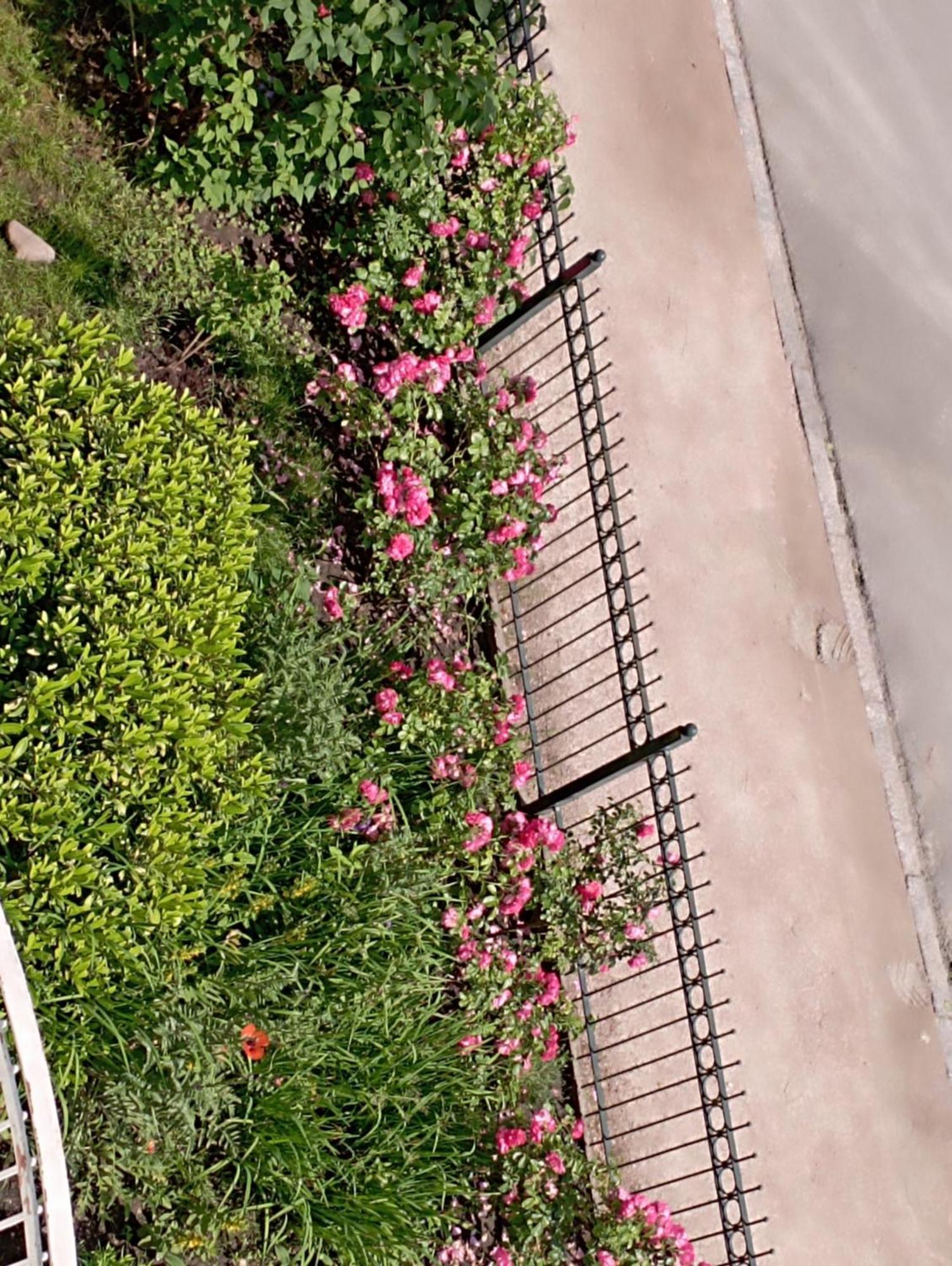 Appartement Peaceful Apartment, 3 Zi Loggia & Garden In Blankenese Elbvororten Hamburg-Harburg